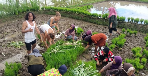 Tetebatu: Falls, Spices, Rice Terraces & Monkey Forest Tour