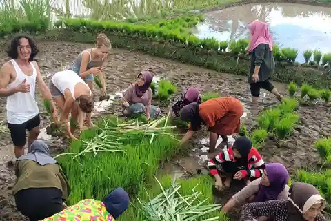 Tetebatu: Waterfalls, Spices, Rice Terrace, Monkey forest