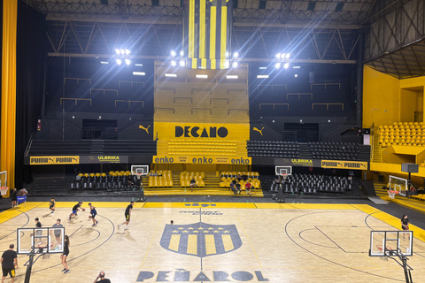 Montevideo: Peñarol Stadium, Museum, and Arena Tour