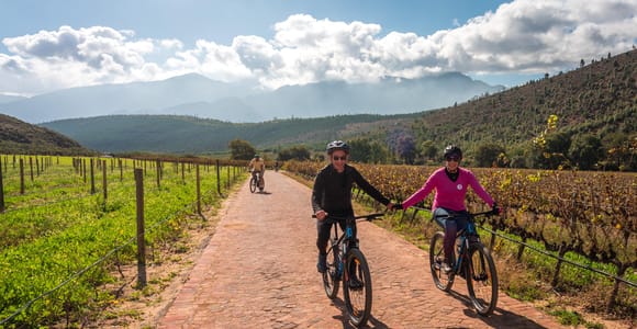 Franschhoek: Private E-Bike-Fahrt & Weinerlebnis