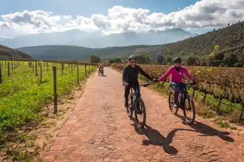 Franschhoek: Private E-bike Ride & Wine Experience