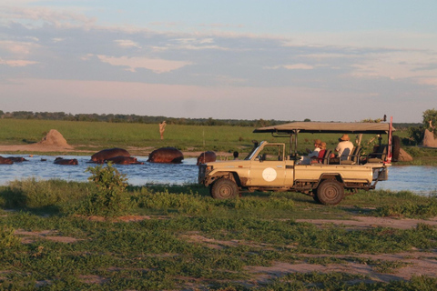 Excursión de un día a Chobe