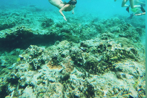 Depuis l&#039;île de Gili : Après-midi de plongée avec masque et tuba 3 îles