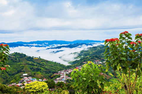 Chiang Mai: Chiang Rai & Doi Mae Salong Tea Plantation Tour