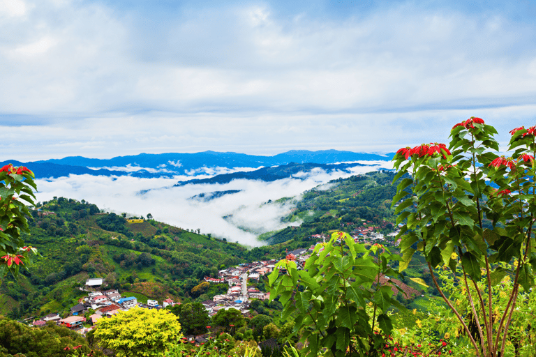 Chiang Mai: Chiang Rai &amp; Doi Mae Salong teplantage tur