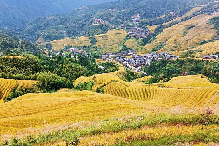 From Guilin: Longji Rice Terraces & Yao Village Day Trip Private Tour (English Driver-Guide)
