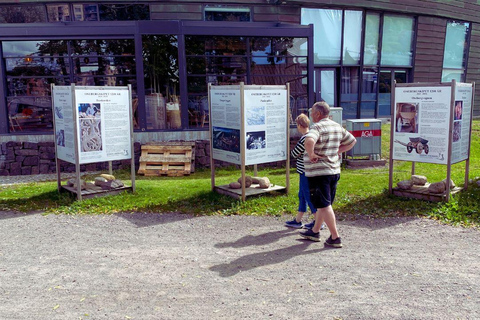 Oslo: Legendary Viking Treasures (excursão de ônibus particular)