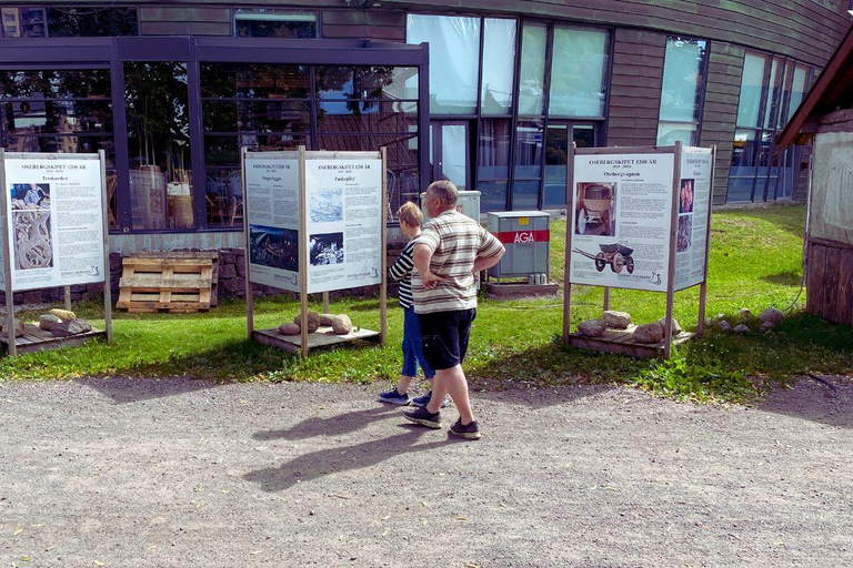 Oslo : Trésors légendaires des Vikings (visite en bus privée)