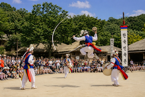 Private Suwon Tour from Seoul with 3 Attraction Options A - Private Suwon Hwaseong & Starfiled Tour from Seoul
