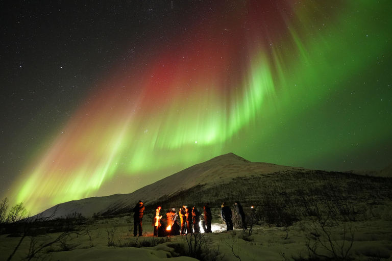 Tromsø: Tour dell&#039;aurora boreale con ritratto professionale gratuito