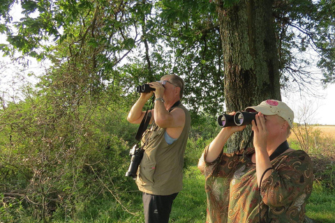 Colonia del Sacramento: Birdwatching Sightseeing Tour in the Historic District