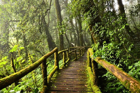 Chiang Mai: Doi Inthanon Nationaal Park en Pha Dok Siew Trek