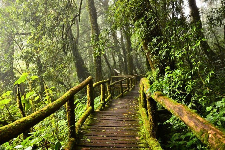 Chiang Mai: Parco nazionale di Doi Inthanon e trekking di Pha Dok Siew