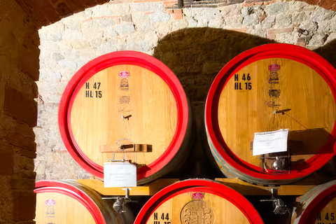 From Florence: Chianti Wine Tour with Wine Tasting Spanish - Chianti Wine Tour with Wine Tasting