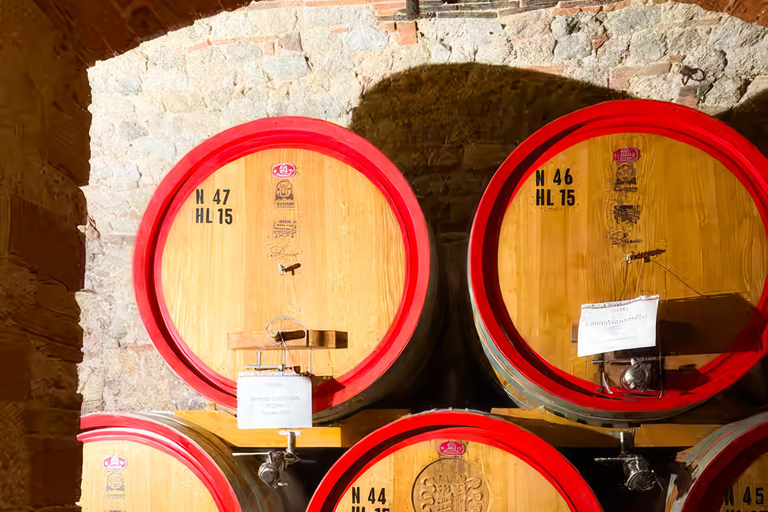 From Florence: Chianti Wine Tour with Wine Tasting Spanish - Chianti Wine Tour with Wine Tasting