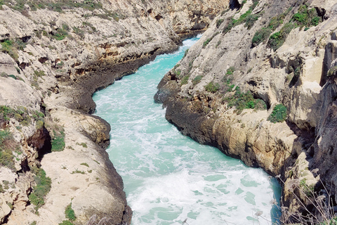 L'île de Gozo : Visite privéeVisite privée de Gozo de 4 heures