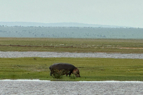 Tour di un giorno del Parco Nazionale di Amboseli e visita al villaggio Maasai