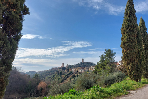 San Miniato: e-bike langzame tour (truffelheuvels)