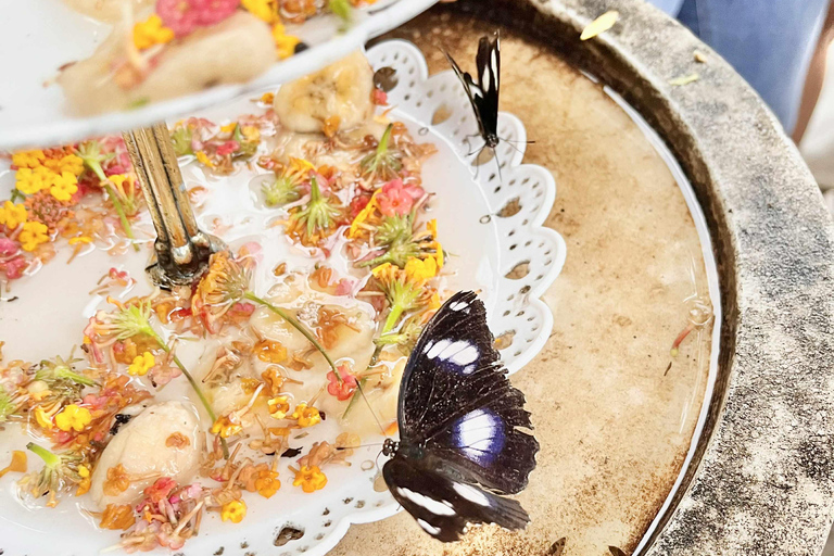 Puerto Princesa: halfdaagse stadsrondleiding met vlindertuinPuerto Princesa: Halfdaagse stadsrondleiding met vlindertuin