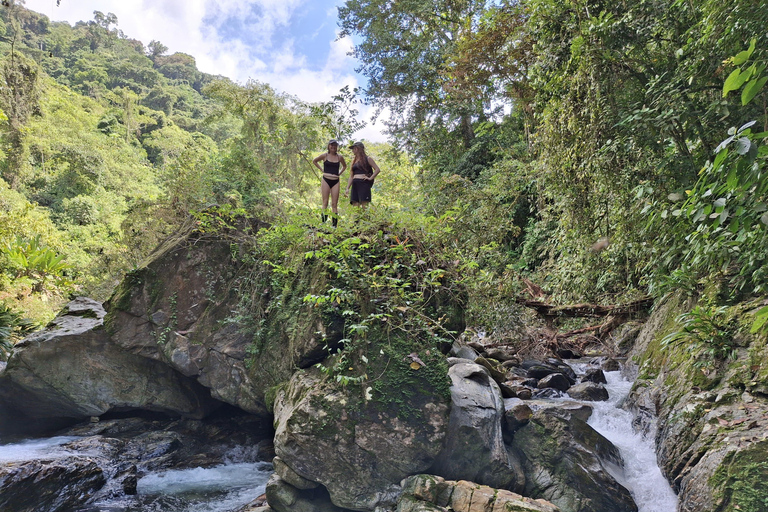 Santa Marta: 2-Day Jungle Adventure, Rappelling and Camping