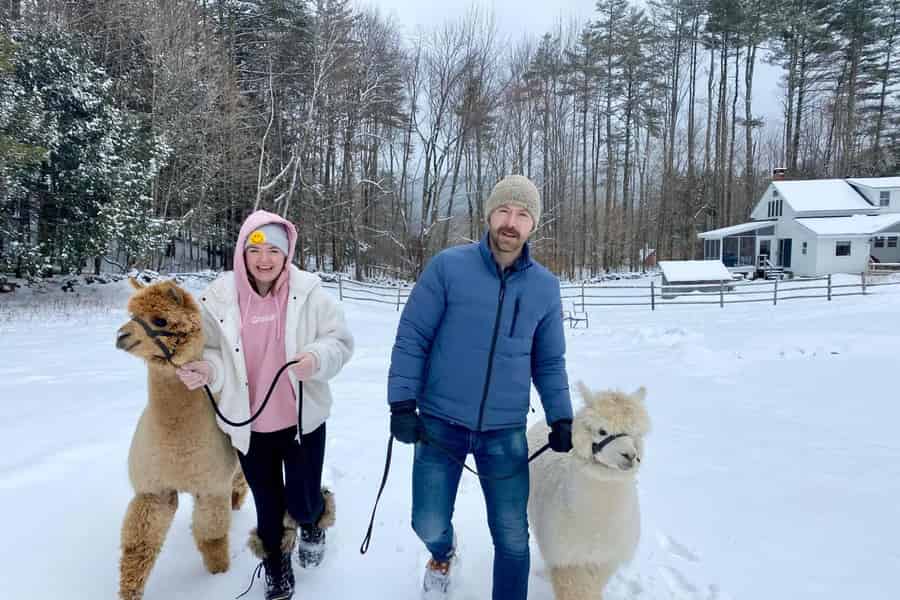 Andover, VT: Alpaka-Interaktion und Wandererlebnis. Foto: GetYourGuide