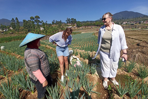 Vulcano, sorgenti calde, bagni di fango e tour del tè: tutto inclusoGiro aperto