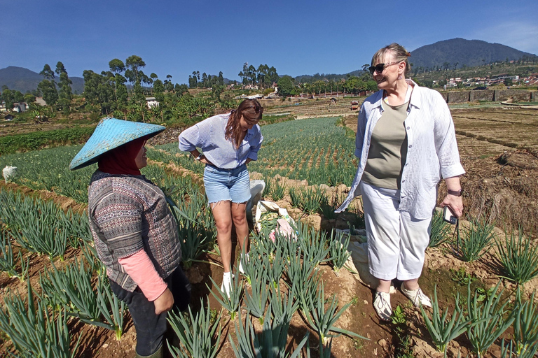 Vulcano, sorgenti calde, bagni di fango e tour del tè: tutto inclusoGiro aperto