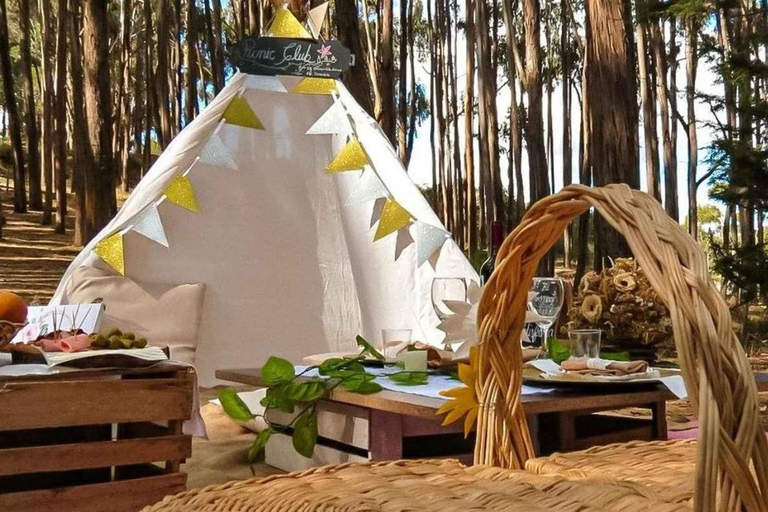 From Cusco: Archaeological sites + Picnic + Painting