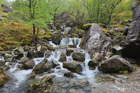 Glencoe: Hiking Tour With Local Guide