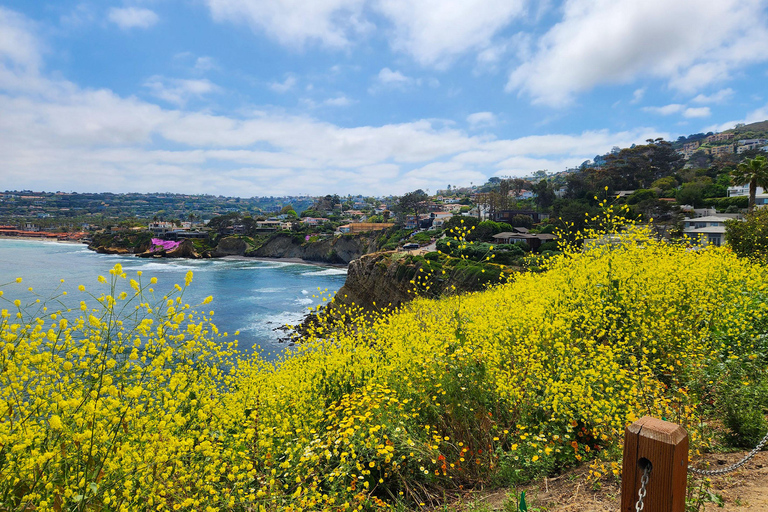 Une promenade au bord de la mer : Visite à pied des trésors cachés de La Jolla