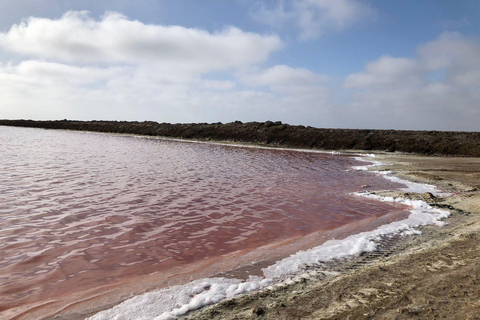 Windhoek: Namibia 12-Day Self-Drive Tour with Lodging