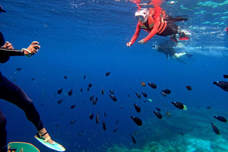 Bohol: Turtle Sanctuary Snorkeling Boat Tour with Lunch