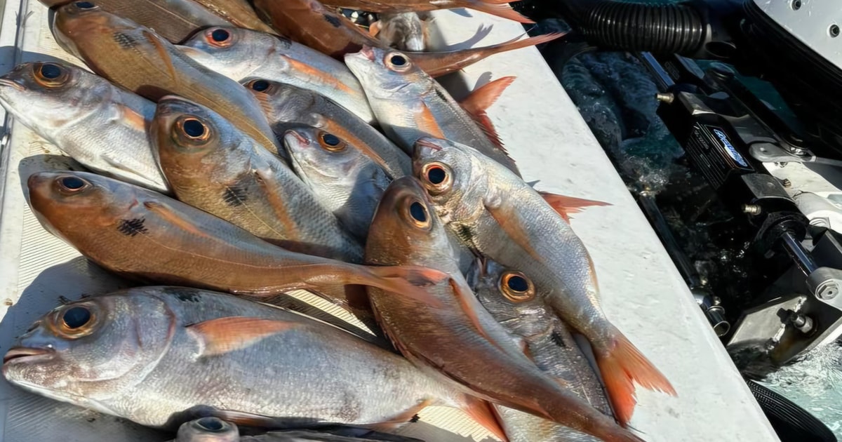 Lot De 8 Plombs Quadrifacettes 200g - Pêche Au Bolentin Et Bateau - Fabriqué En Italie