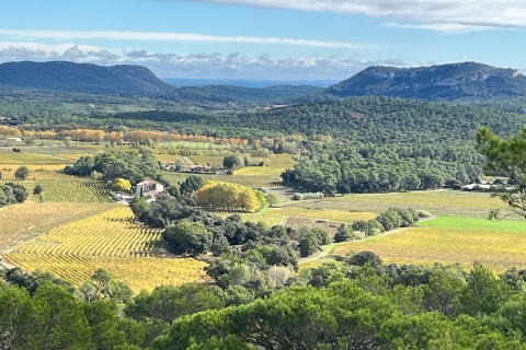 Desde Montpellier: Tour gastronómico y vinícola Pic Saint-Loup