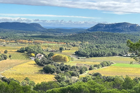 Von Montpellier aus: Pic Saint-Loup Wein- und Foodtour