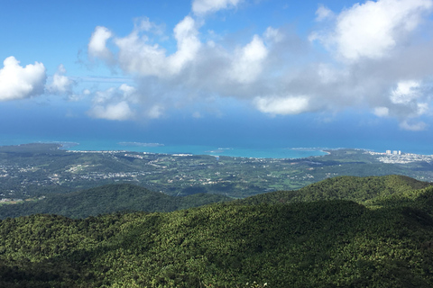 El Yunque Rainforest: EZ-Going Bus Tour (Accessible)