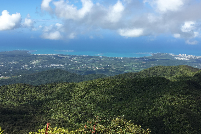 El Yunque Rainforest: EZ-Going Bus Tour (Accessible)
