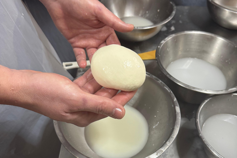 Lyon: Make your own mozzarella from local raw milk