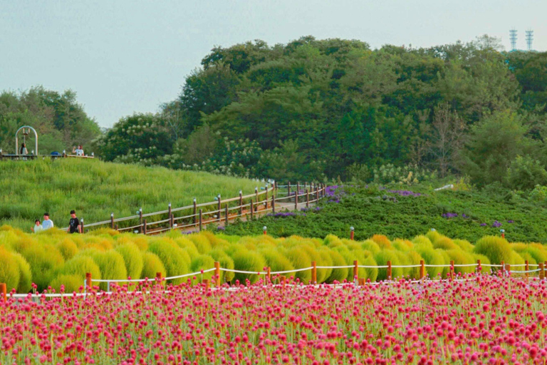 Hantan Canyon & Goseokjeong Flower Garden & Pink Muhly Park Depart from Hongik Univ. Station Exit 4