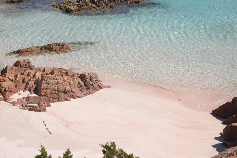 From Palau: La Maddalena Archipelago 4 Stops Boat Tour From Palau: La Maddalena Archipelago Full-Day Boat Tour