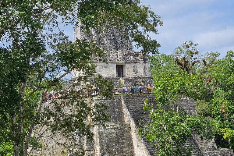 Tikal From Guatemala