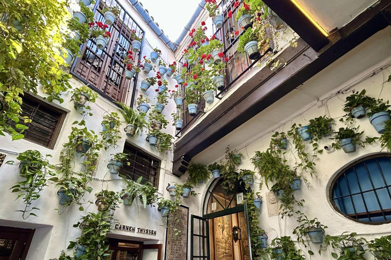 Málaga: Old Town Walking Tour with Local Guide Málaga: Centro Histórico con guías locales