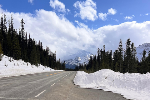 Calgary Banff: Columbia Icefield, Skywalk e tour dei laghiCalgary Banff: Columbia Icefield, Skywalk e tour di un giorno ai laghi