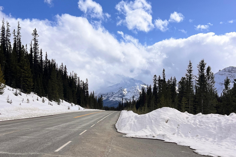 Calgary Banff: Columbia Icefield, Skywalk e tour dei laghiCalgary Banff: Columbia Icefield, Skywalk e tour di un giorno ai laghi