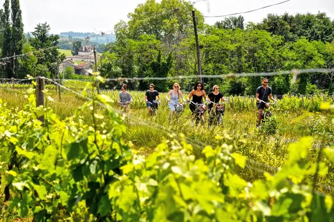 Explorez Saint-Émilion en vélos électriques : visite en petit groupe d'une demi-journée