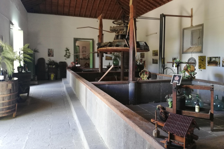 Gran Canaria: Hoogtepunten wijnproeverij &amp; excursie aan wal