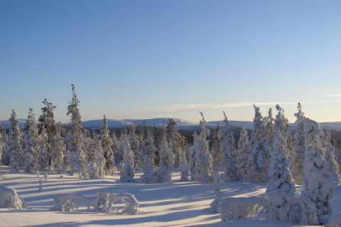 Lapland: A Day at a Traditional Log Cabin & Snowshoe Trek