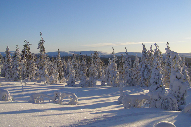 Lapland: A Day at a Traditional Log Cabin & Snowshoe Trek