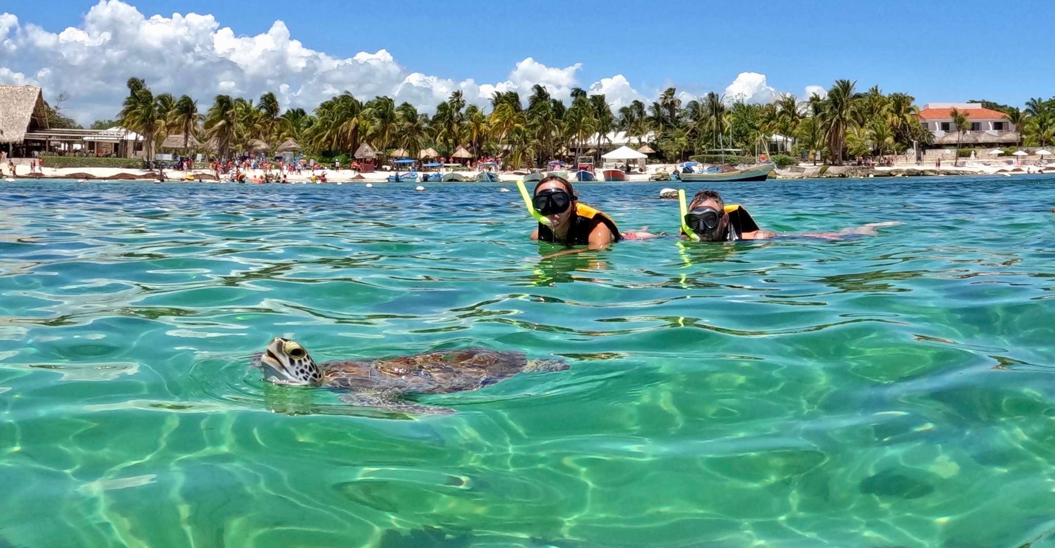 Akumal; Snorkeling and Photos with Turtles - Housity