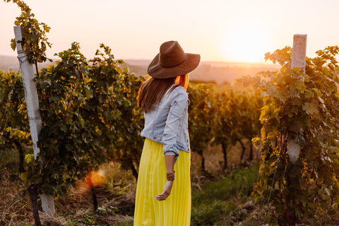 Bordeaux: Vineyard Horse Ride with Château Wine Tastings
